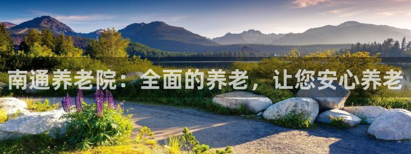 韦德1946源自英国