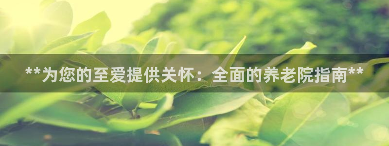 韦德 网站