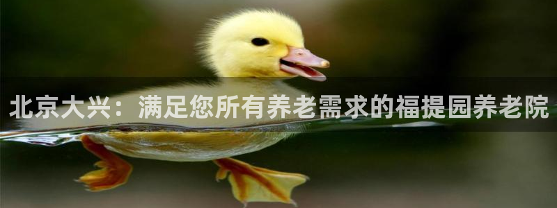 韦德1946客户端