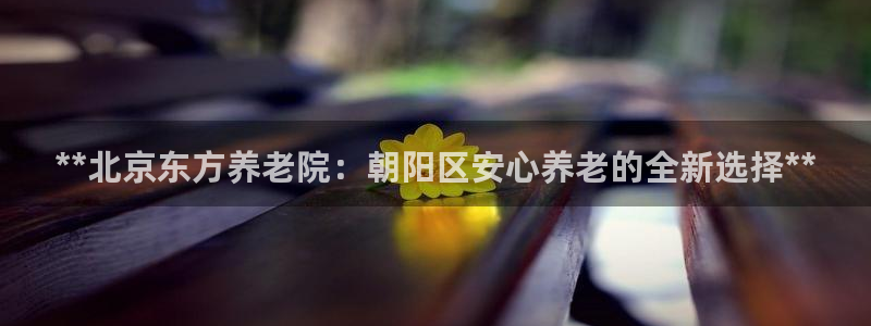 韦德新品