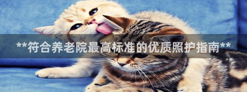 韦德的地位