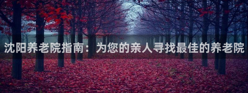 韦德1946娱乐手机版