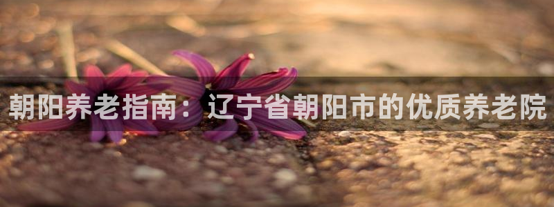 韦德游戏是什么