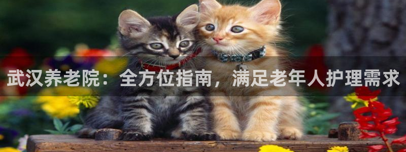 韦德1946官网最新版