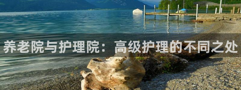 韦德合集