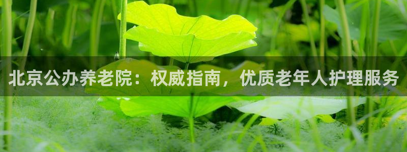 韦德是哪个