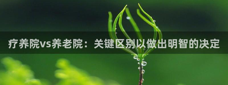 韦德 1946