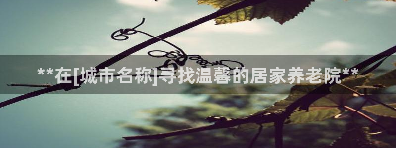 韦德官方下载