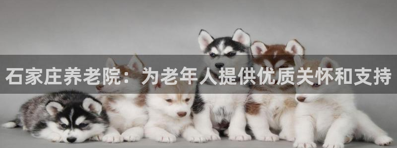 韦德8月22日开启中国行