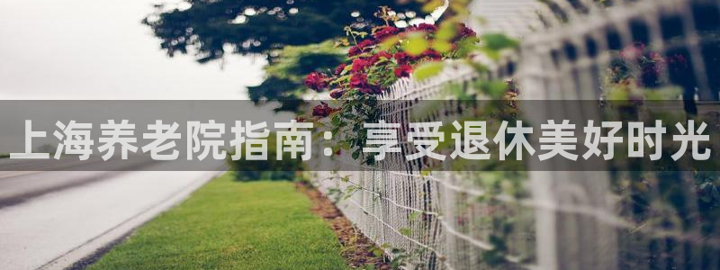 1946韦德游戏