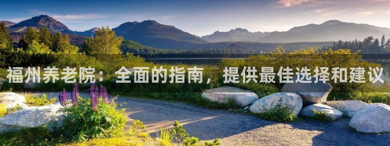 韦德1946手机网址