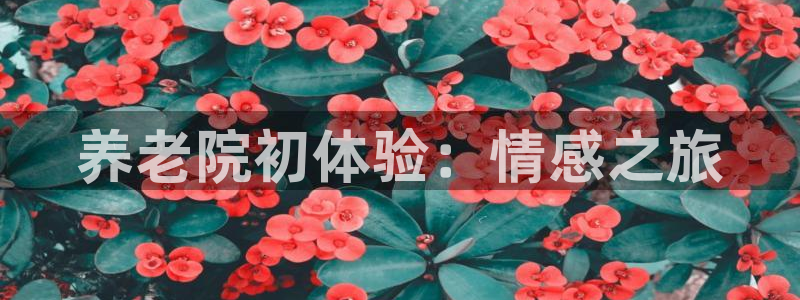 韦德1946官网最新版