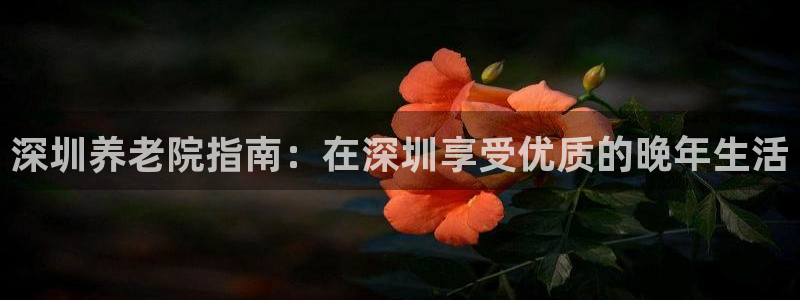 1946韦德游戏