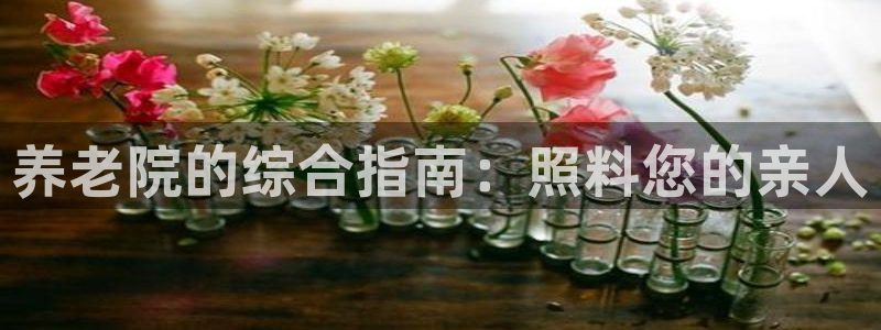 韦德1946娱乐手机版