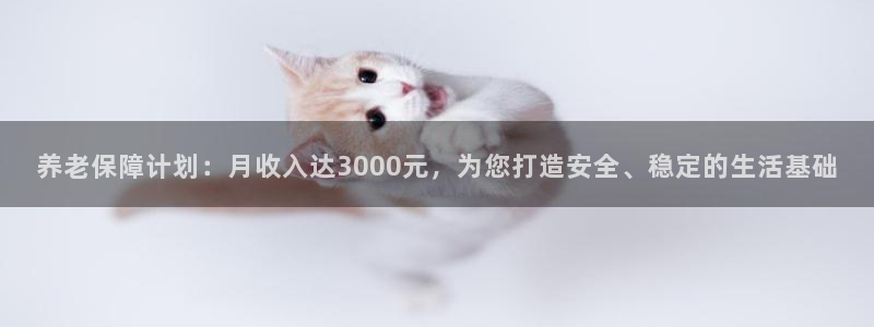 韦德网址是多少