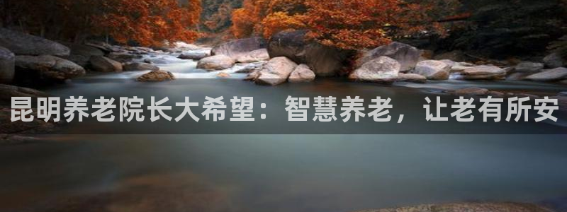 韦德1946国际
