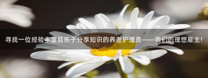 韦德观战总决赛G3