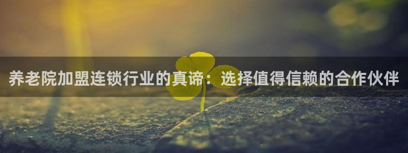 韦德1946下载