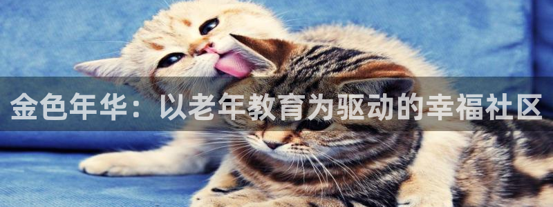 韦德1946国际