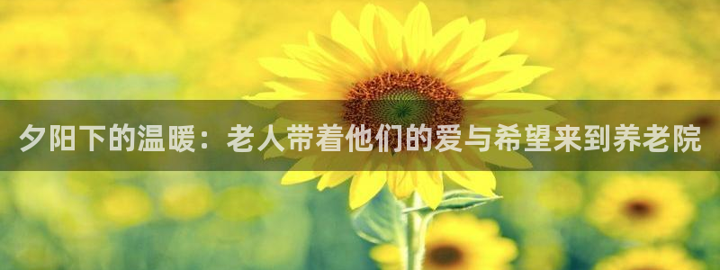 韦德属于什么