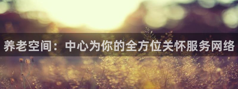 韦德网址