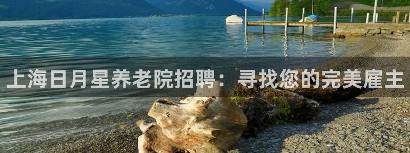 韦德下载