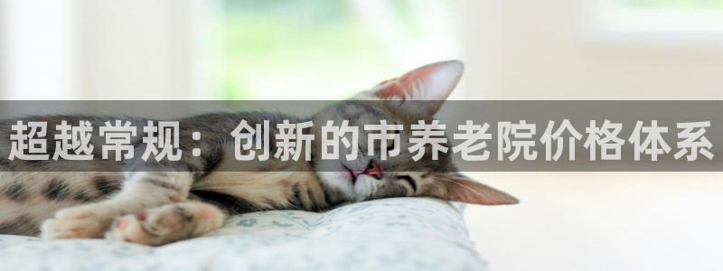 韦德1946
