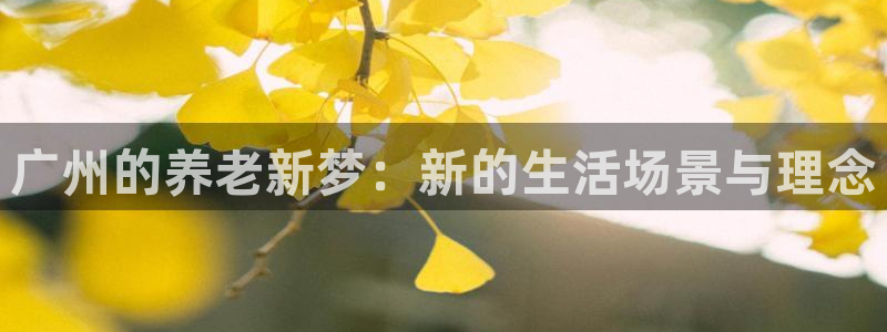 1946韦德官方网站