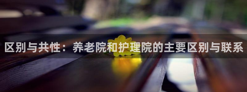 韦德1946手机网址
