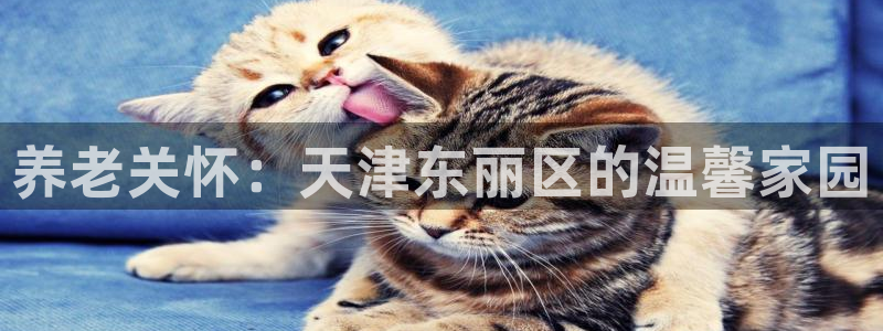 韦德合集