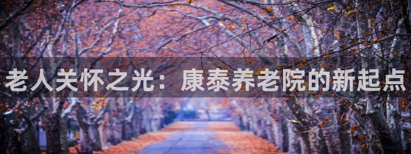 韦德1946中文官网