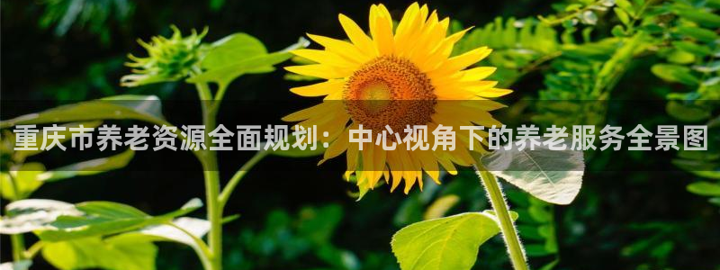 韦德2014