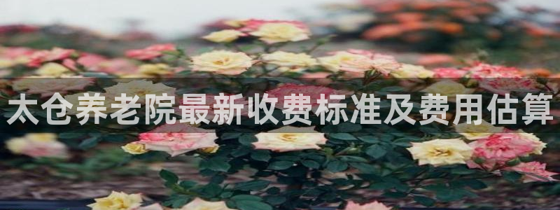 韦德1946游戏