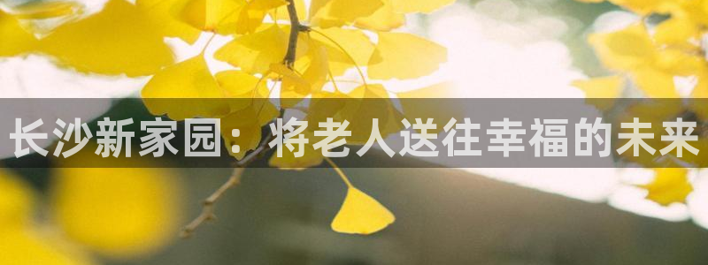 韦德app手机下载