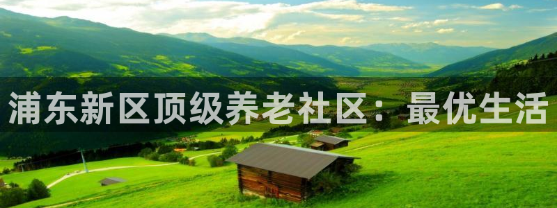 韦德 网站