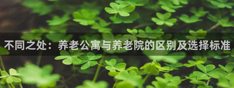 1946韦德官方网站