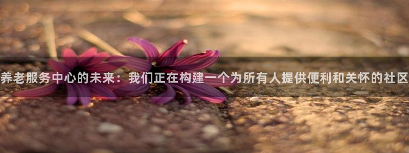 韦德1946官方