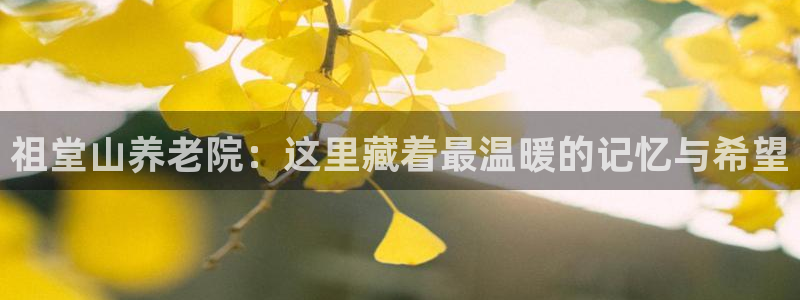 韦德1946官方网站