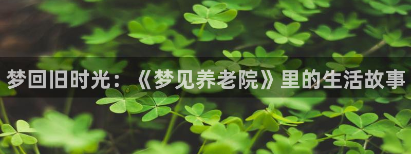 韦德1946下载