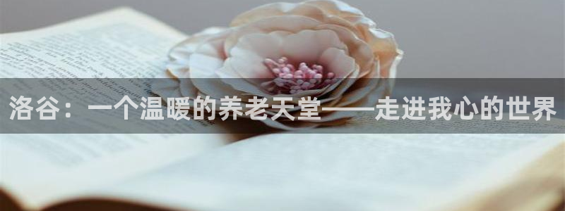 韦德国际体育