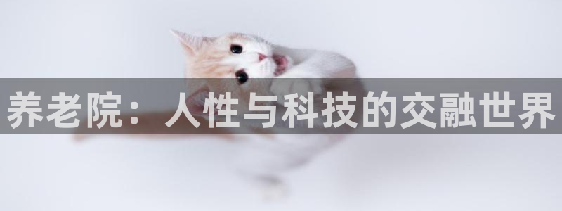 韦德国际1946官网