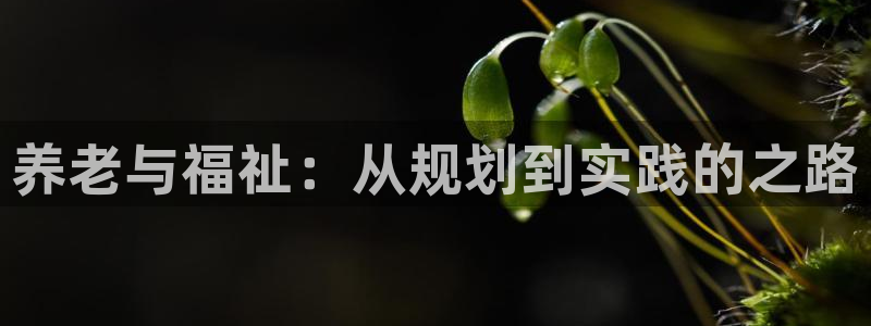 韦德游戏是什么